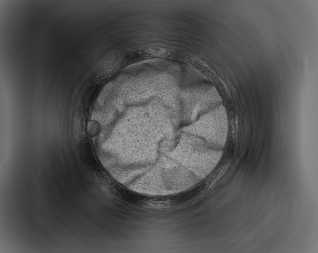 X0000086800606200705111837