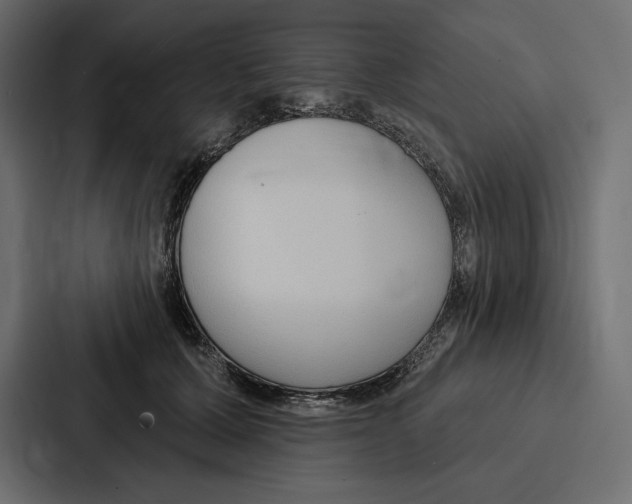 X0000086800607200705111837