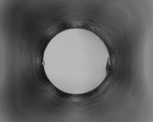 X0000086800608200705111837