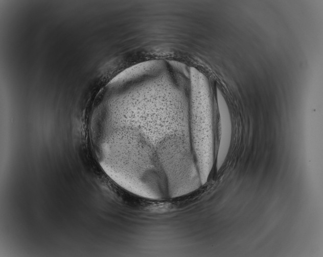 X0000086800609200705111837