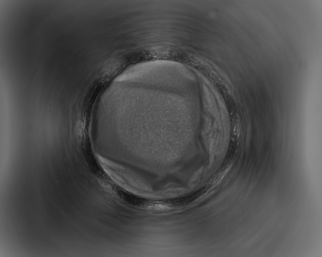 X0000086800610200705111837