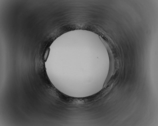 X0000086800613200705111837