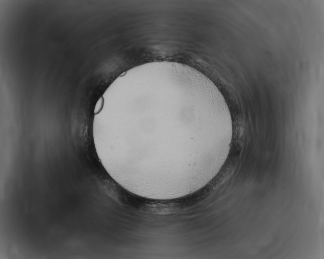 X0000086800615200705111837