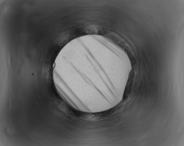 X0000086800616200705111837