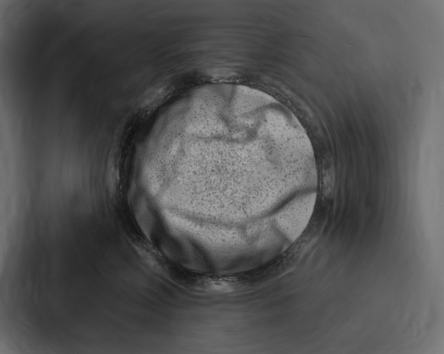 X0000086800618200705111836