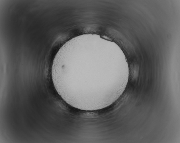 X0000086800619200705111836