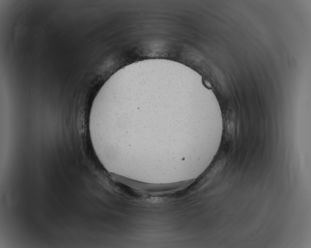 X0000086800620200705111836