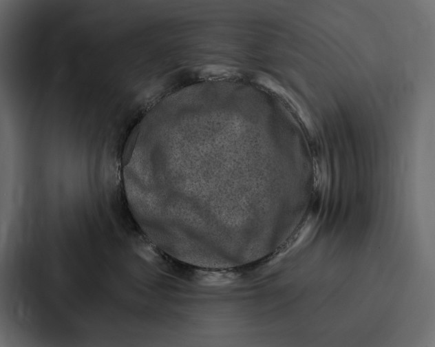 X0000086800621200705111836