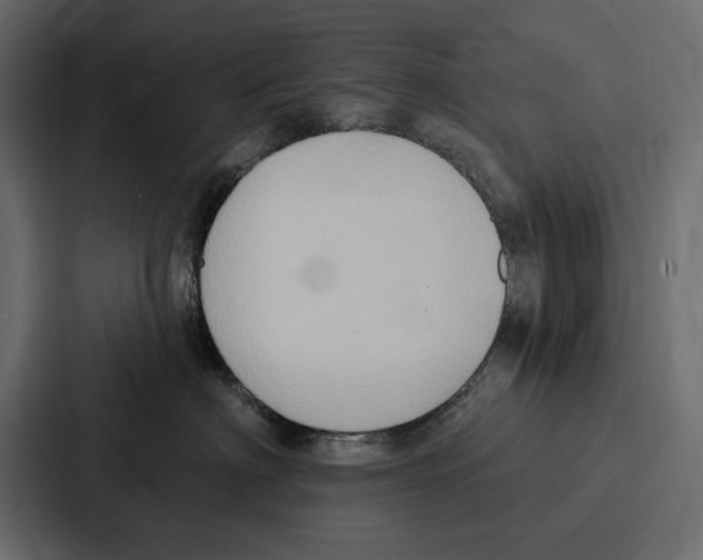 X0000086800622200705111836