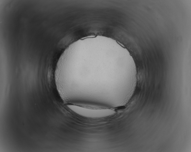 X0000086800623200705111836