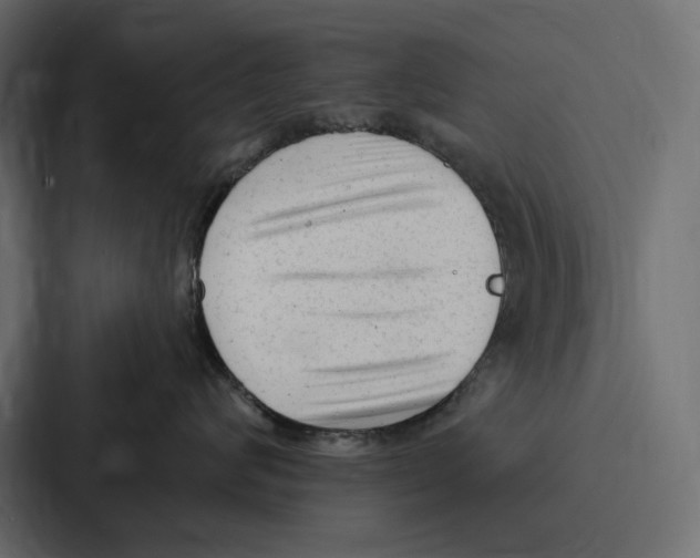 X0000086800624200705111836