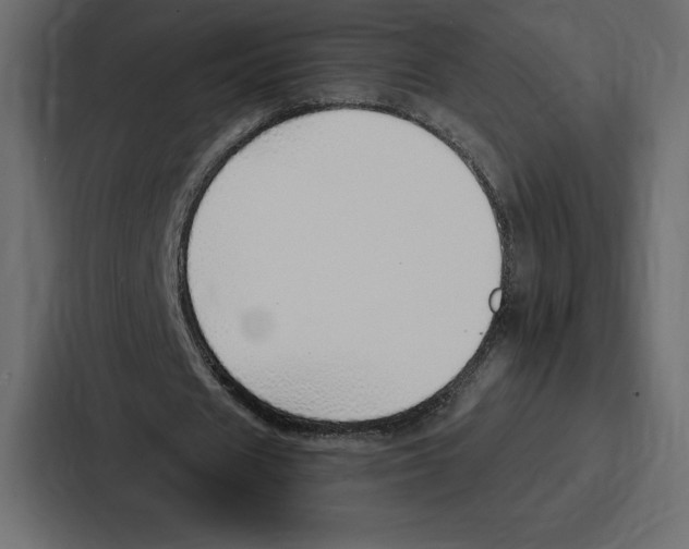 X0000086800625200705111836