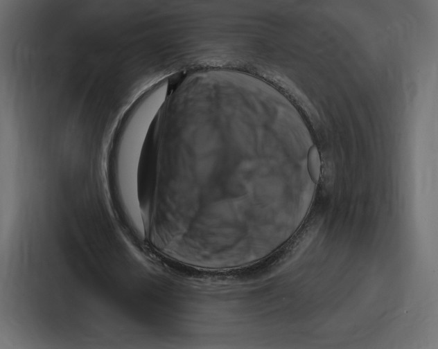 X0000086800626200705111836