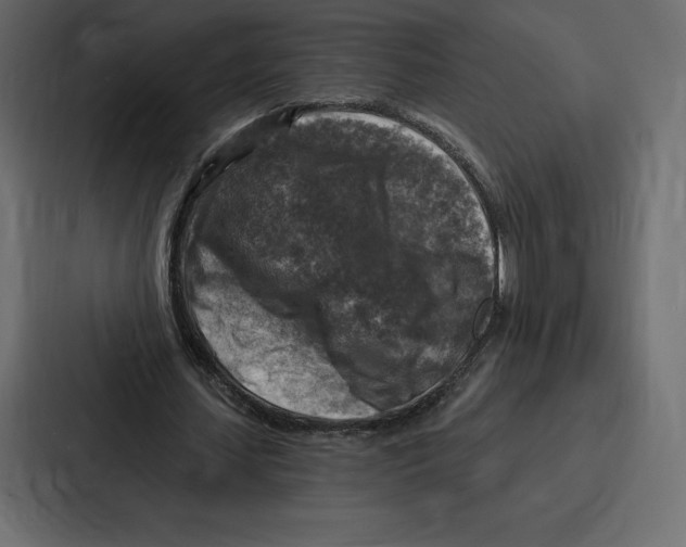X0000086800627200705111836