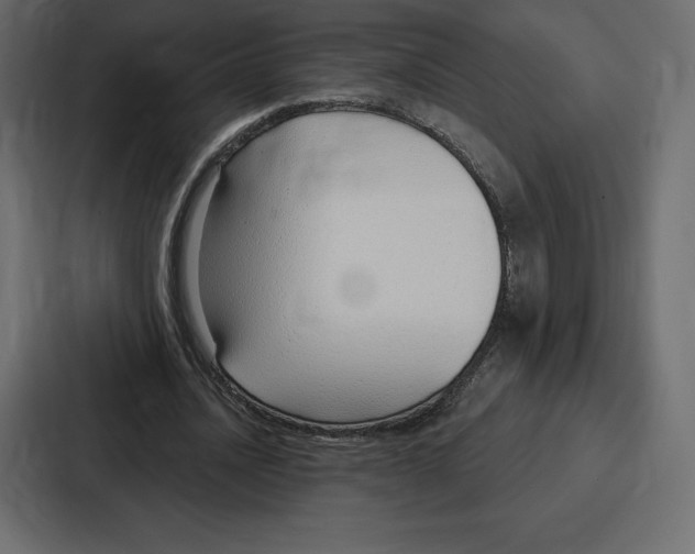 X0000086800628200705111836