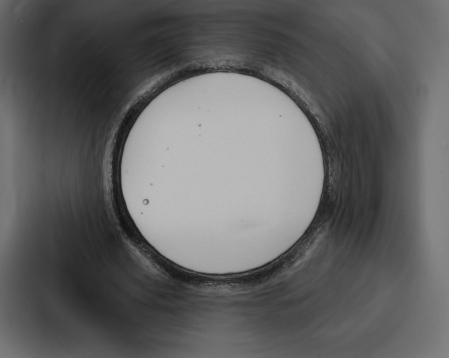 X0000086800629200705111836