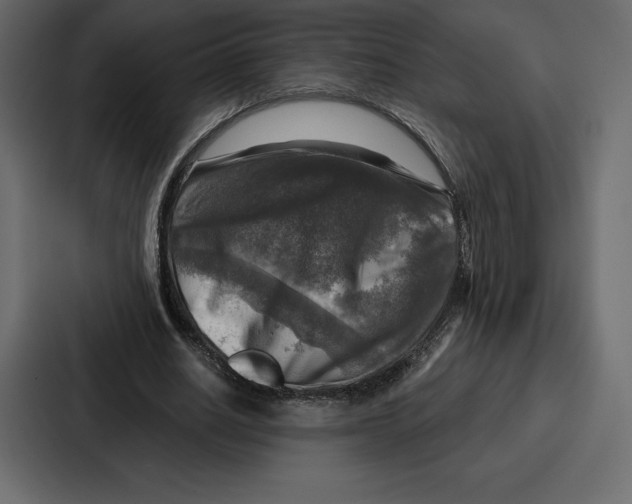 X0000086800630200705111836