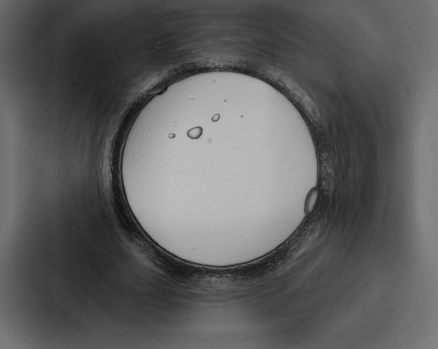 X0000086800631200705111836