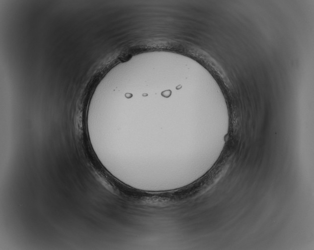 X0000086800633200705111836