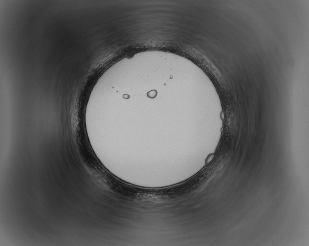 X0000086800635200705111836