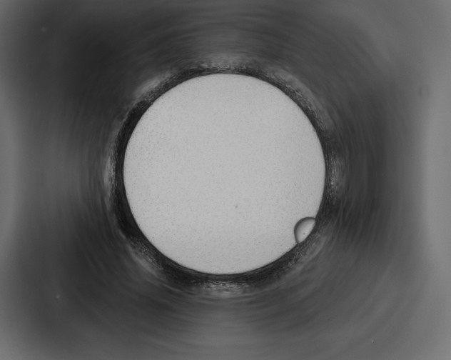 X0000086800636200705111836