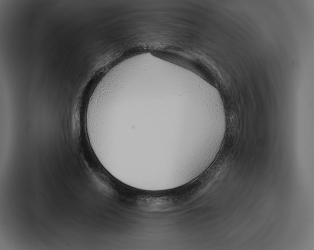 X0000086800638200705111836