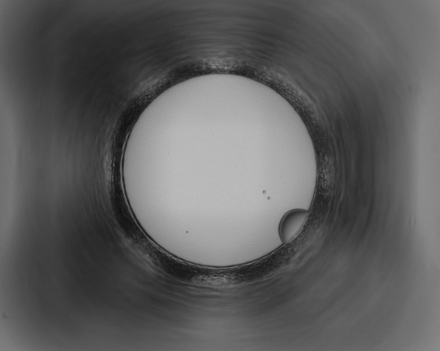 X0000086800639200705111836