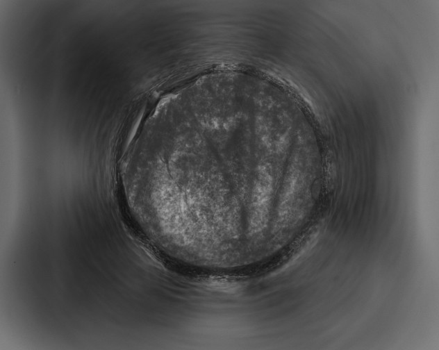 X0000086800641200705111836