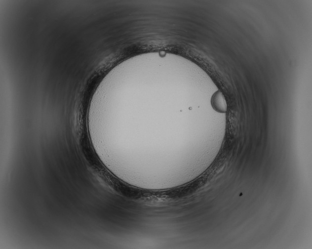 X0000086800642200705111836
