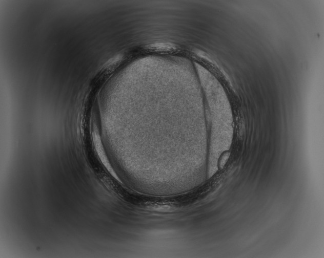 X0000086800643200705111836