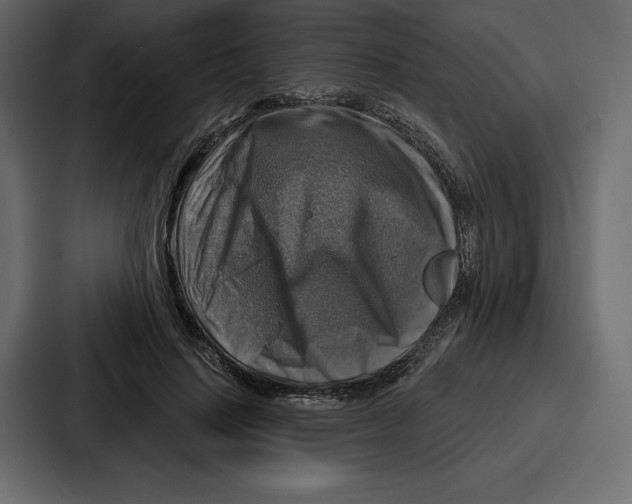 X0000086800644200705111836