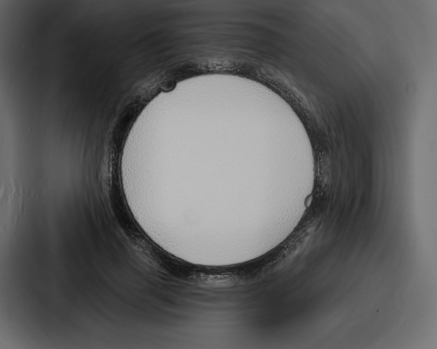 X0000086800645200705111836