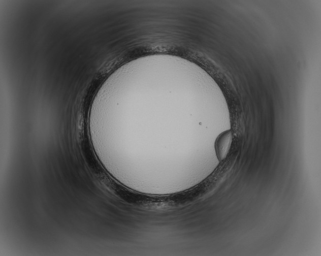 X0000086800646200705111836