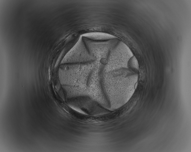 X0000086800648200705111836
