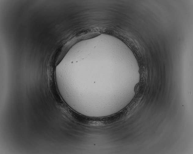 X0000086800649200705111836