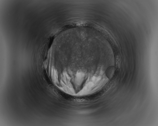 X0000086800650200705111836