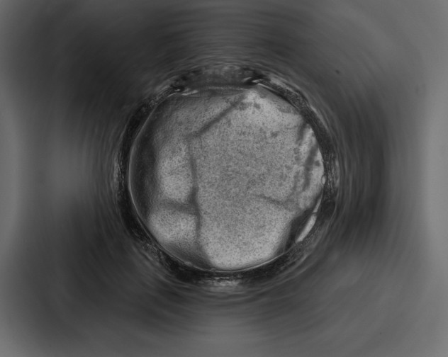 X0000086800651200705111836
