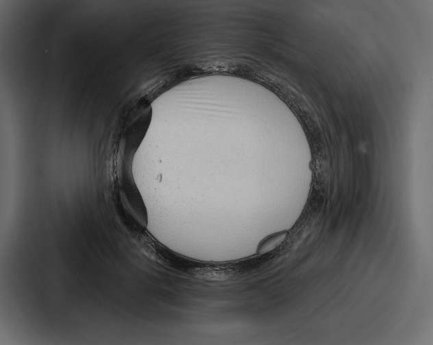X0000086800652200705111836
