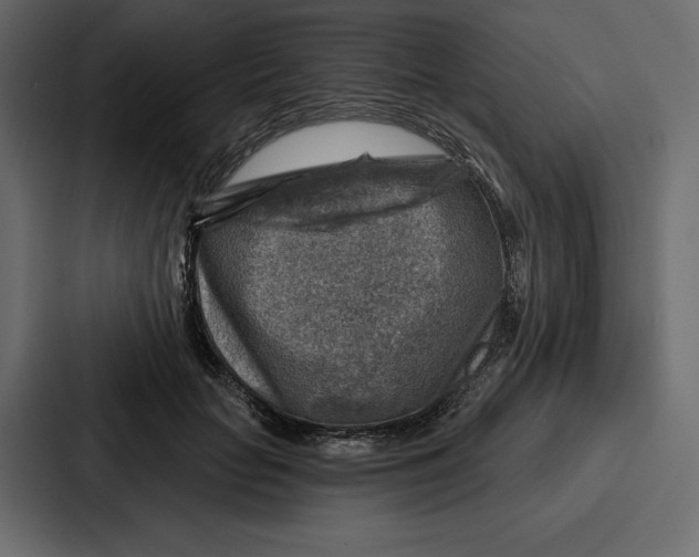 X0000086800653200705111836