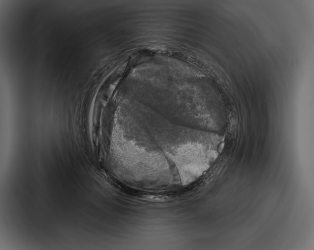 X0000086800654200705111836