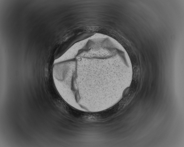 X0000086800655200705111836
