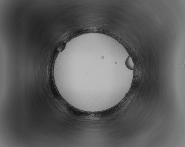 X0000086800656200705111836