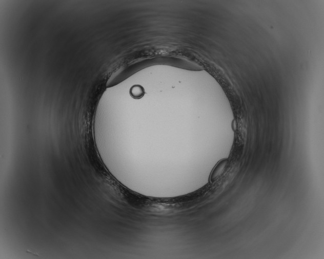 X0000086800657200705111836