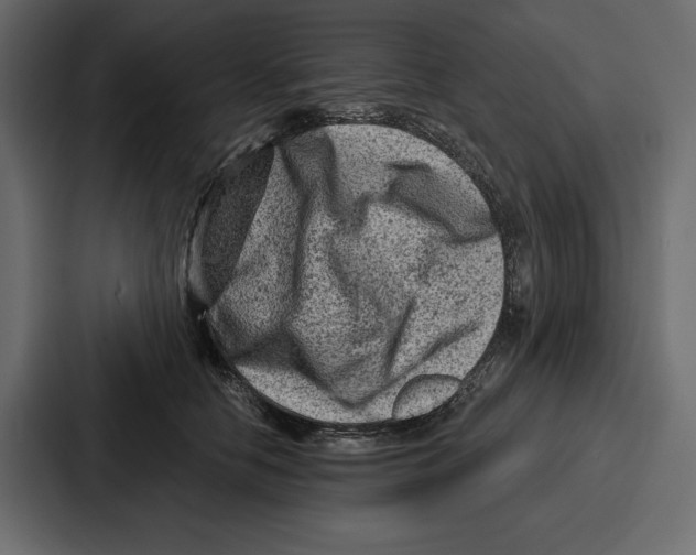 X0000086800658200705111836