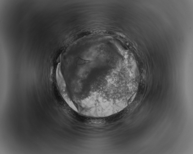 X0000086800659200705111836