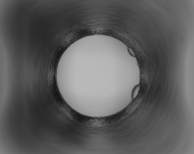 X0000086800660200705111836