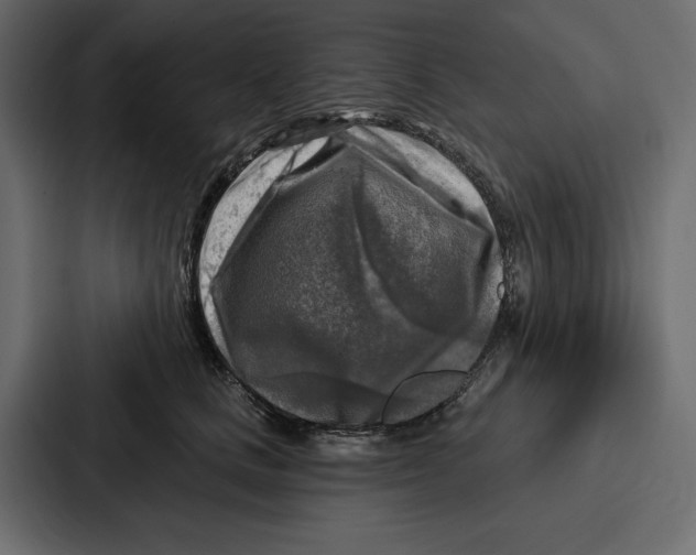 X0000086800661200705111836
