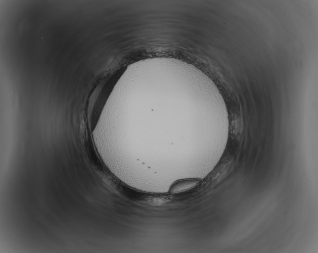X0000086800662200705111836