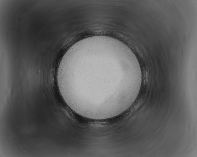 X0000086800664200705111836