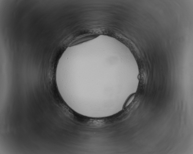 X0000086800665200705111836